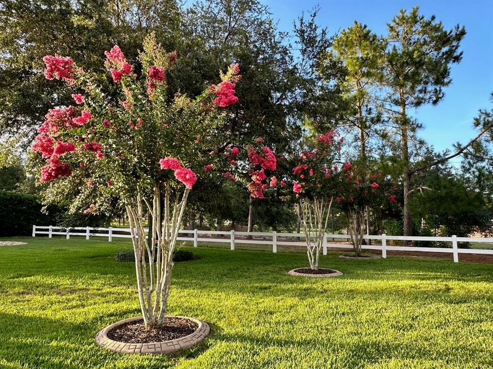 Active With Contract: $580,000 (3 beds, 2 baths, 1950 Square Feet)