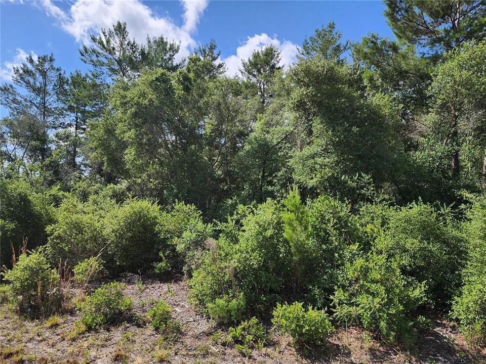 На продажу: $90,000 (0.62 acres)