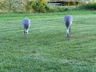 Active With Contract: $299,999 (2 beds, 2 baths, 1288 Square Feet)