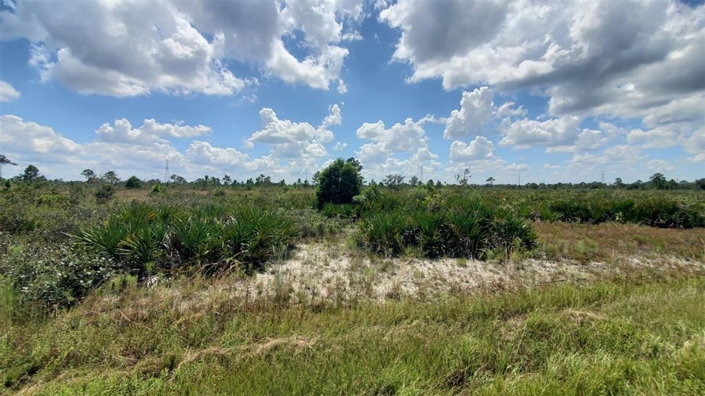 For Sale: $20,000 (1.26 acres)