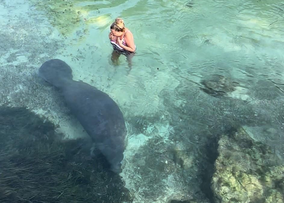 Active With Contract: $229,000 (2 beds, 1 baths, 790 Square Feet)