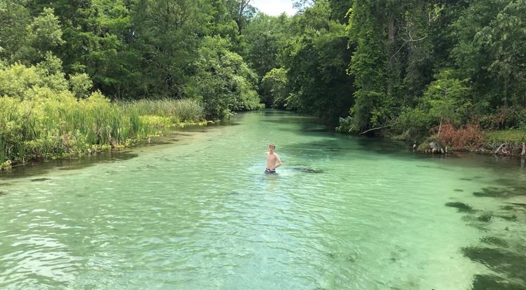 Active With Contract: $229,000 (2 beds, 1 baths, 790 Square Feet)