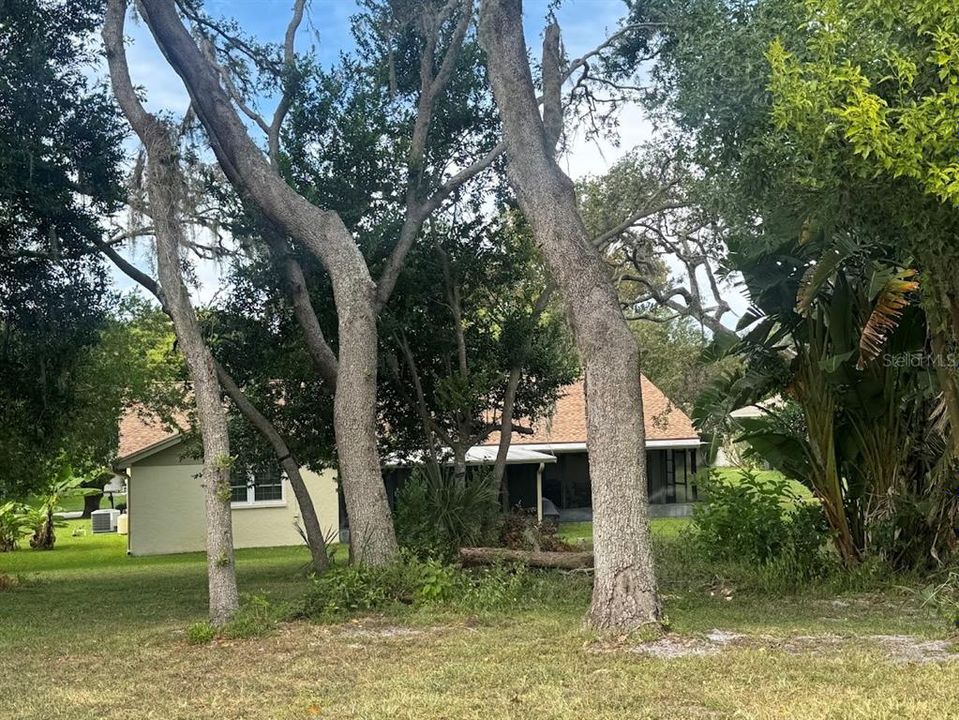 出租: $2,650 (3 贝兹, 2 浴室, 1771 平方英尺)