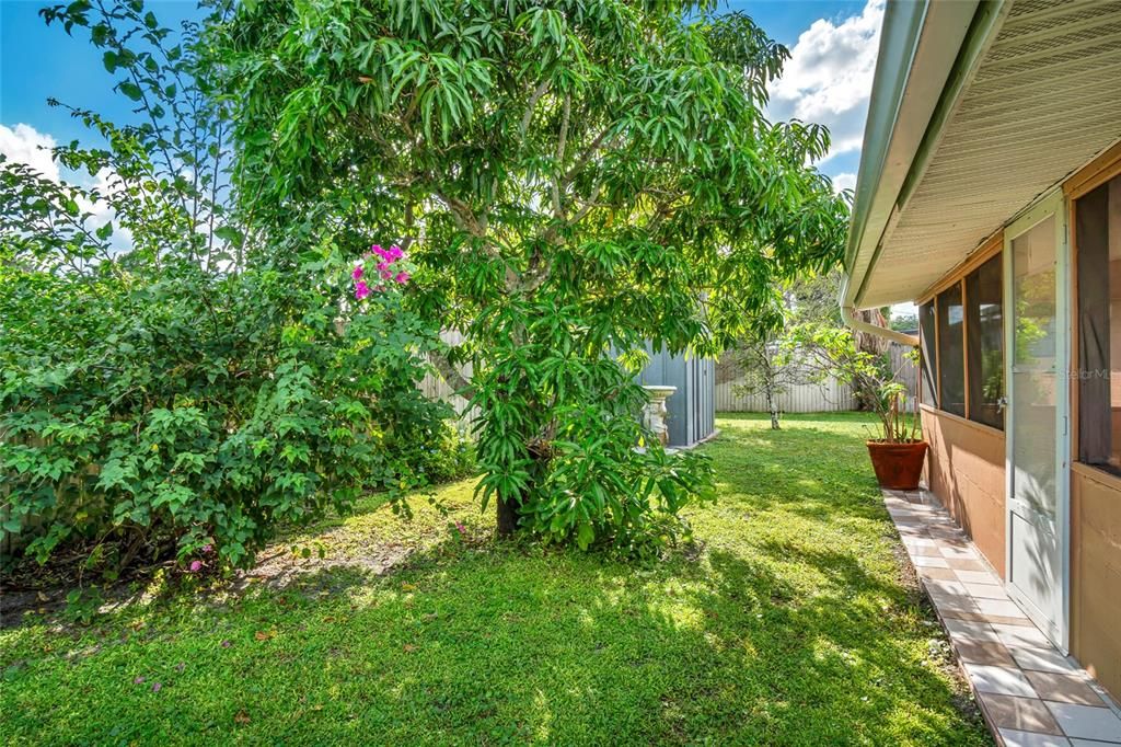 Под контрактом: $299,000 (3 спален, 2 ванн, 1225 Квадратных фут)