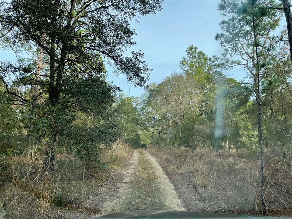 For Sale: $13,950 (0.25 acres)