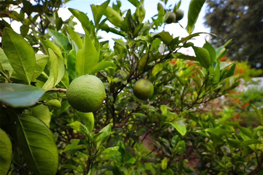 Active With Contract: $575,000 (4 beds, 2 baths, 2290 Square Feet)