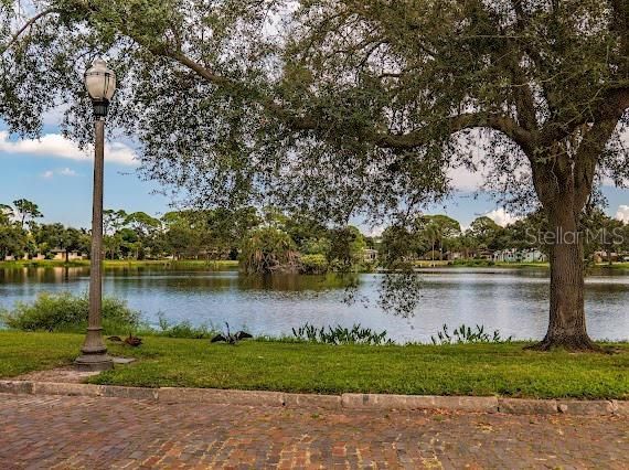 Под контрактом: $369,000 (2 спален, 1 ванн, 1265 Квадратных фут)