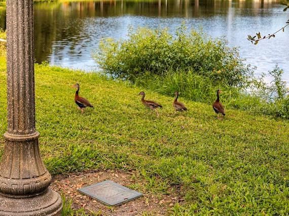 Под контрактом: $369,000 (2 спален, 1 ванн, 1265 Квадратных фут)