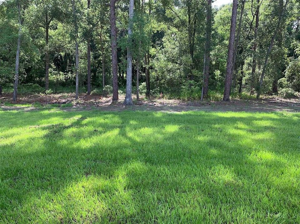 For Rent: $2,300 (4 beds, 2 baths, 1865 Square Feet)