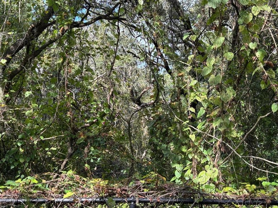 Activo con contrato: $249,900 (3 camas, 2 baños, 1216 Pies cuadrados)