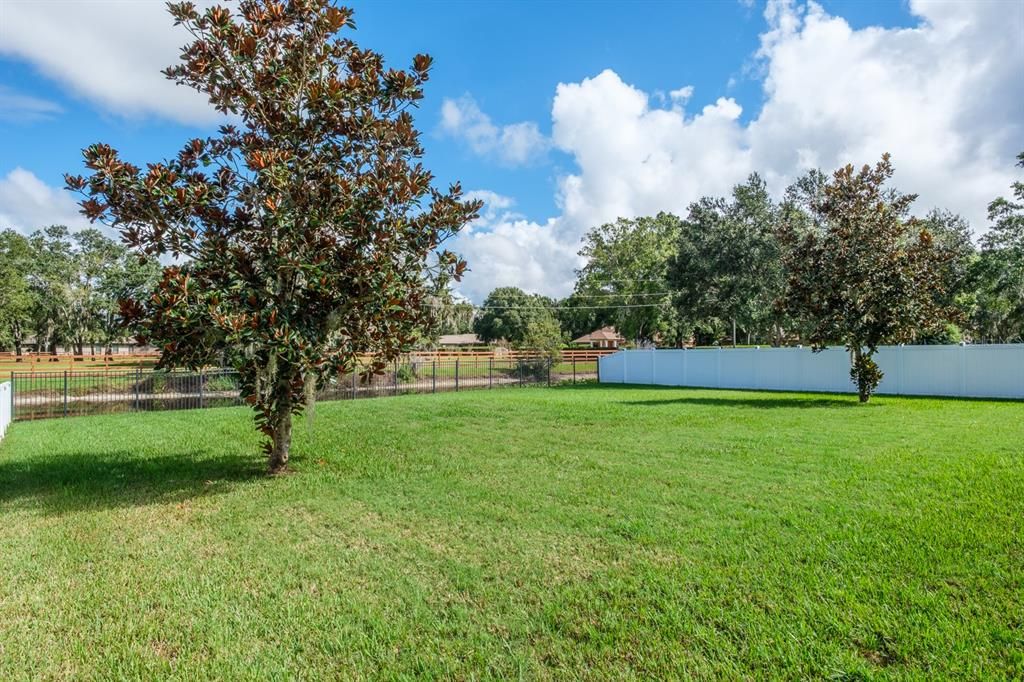 На продажу: $849,000 (5 спален, 3 ванн, 3915 Квадратных фут)