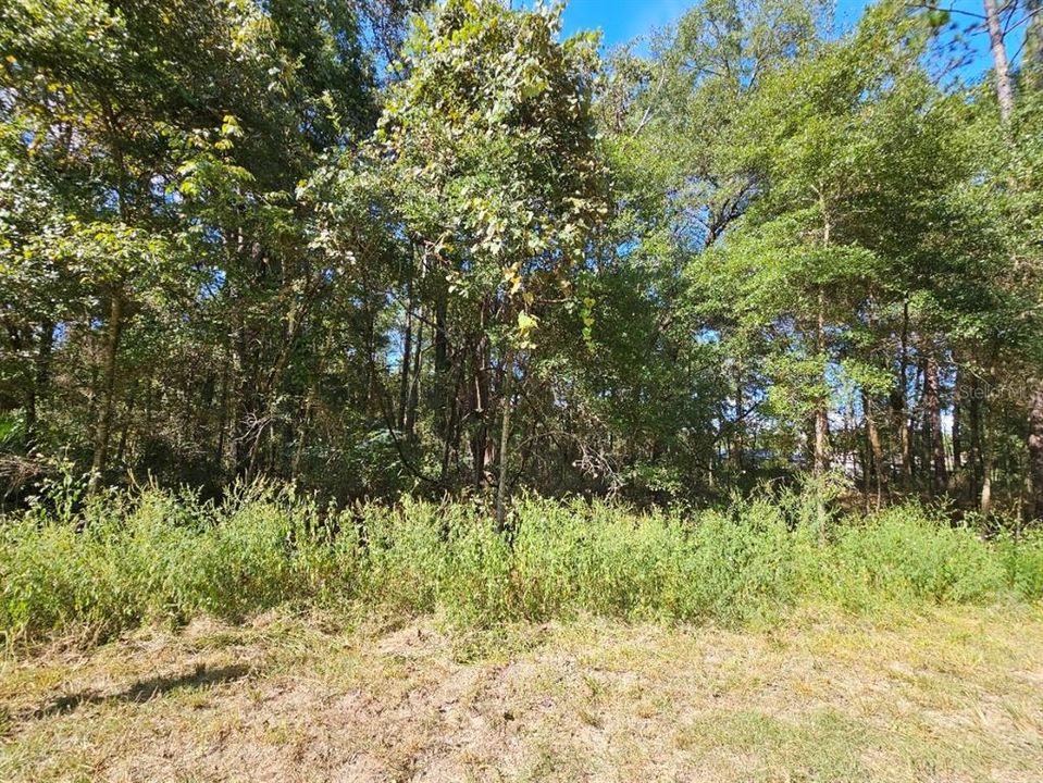 待售: $50,000 (0.46 acres)