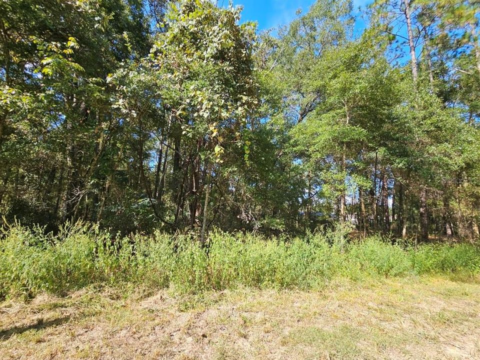 待售: $50,000 (0.46 acres)