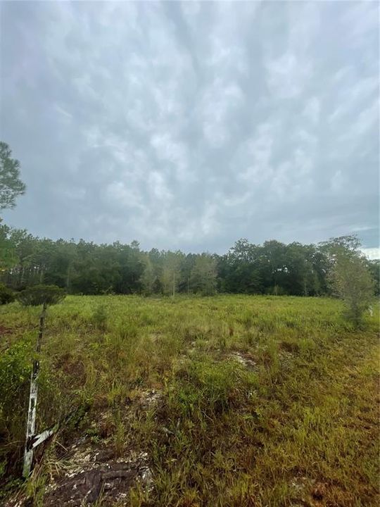 En Venta: $190,000 (8.80 acres)