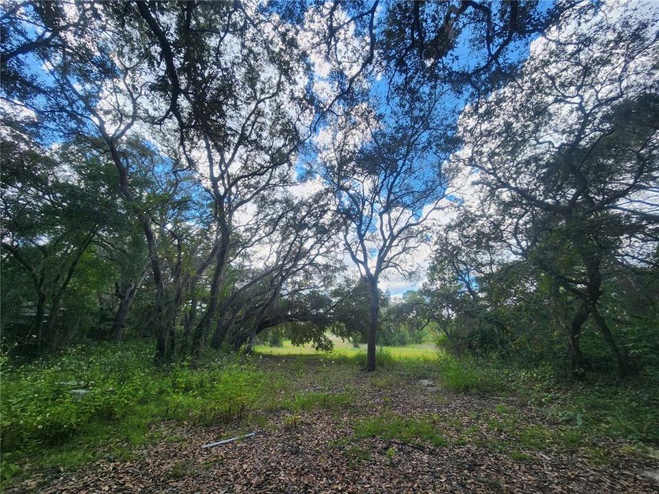 待售: $89,000 (3 贝兹, 2 浴室, 924 平方英尺)