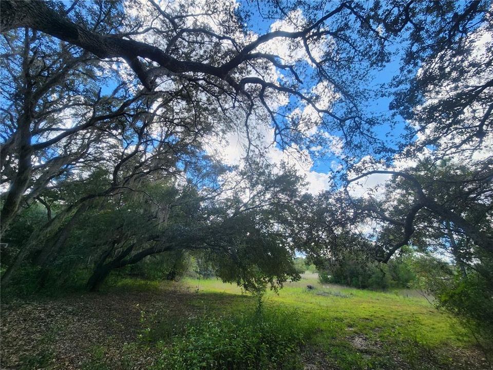 待售: $89,000 (3 贝兹, 2 浴室, 924 平方英尺)