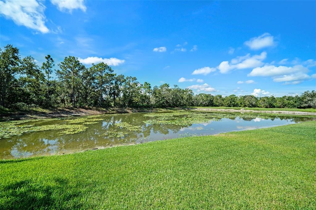 For Sale: $370,000 (3 beds, 2 baths, 1465 Square Feet)