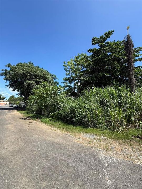 待售: $155,000 (0.35 acres)