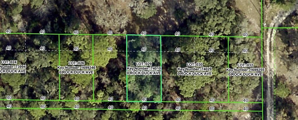 For Sale: $35,000 (0.07 acres)