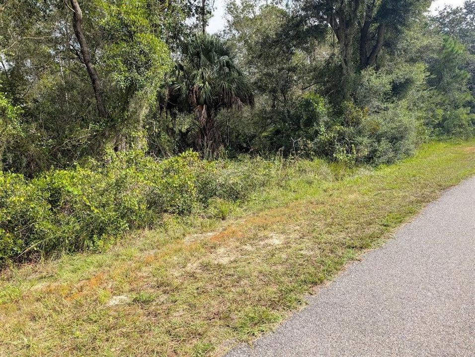 待售: $40,000 (1.00 acres)