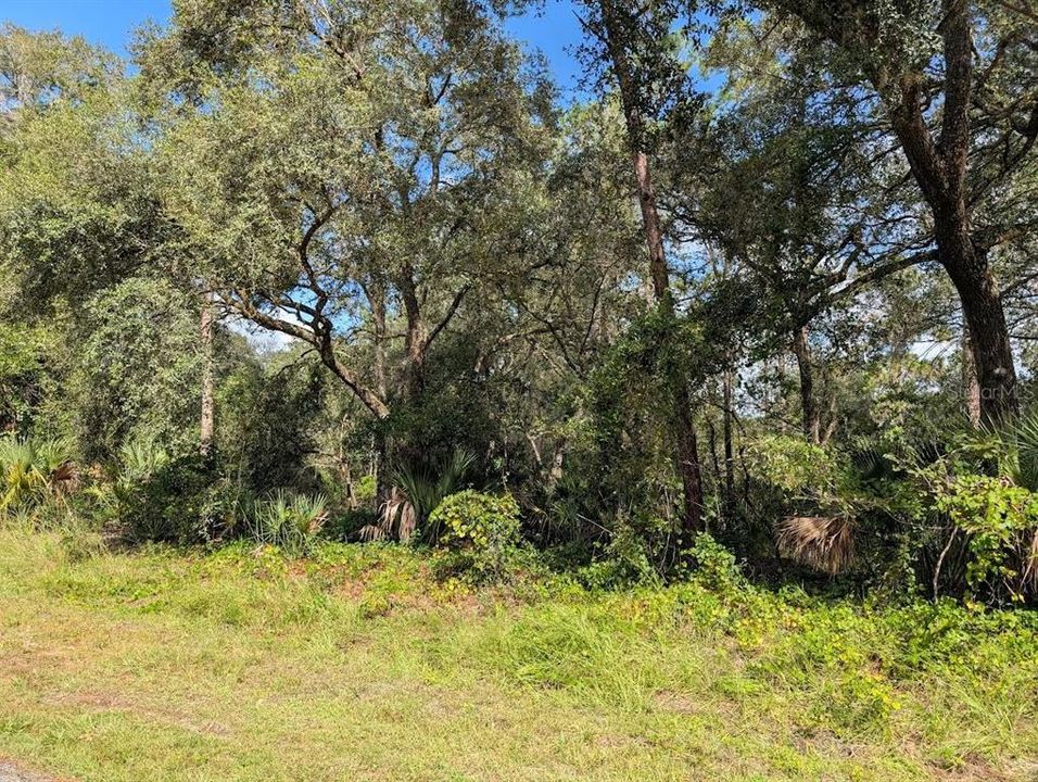 待售: $40,000 (1.00 acres)