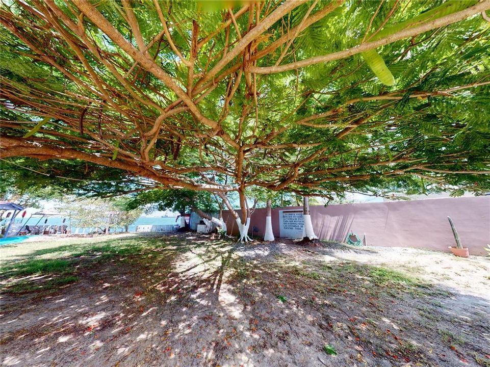 На продажу: $290,000 (5 спален, 0 ванн, 3500 Квадратных фут)