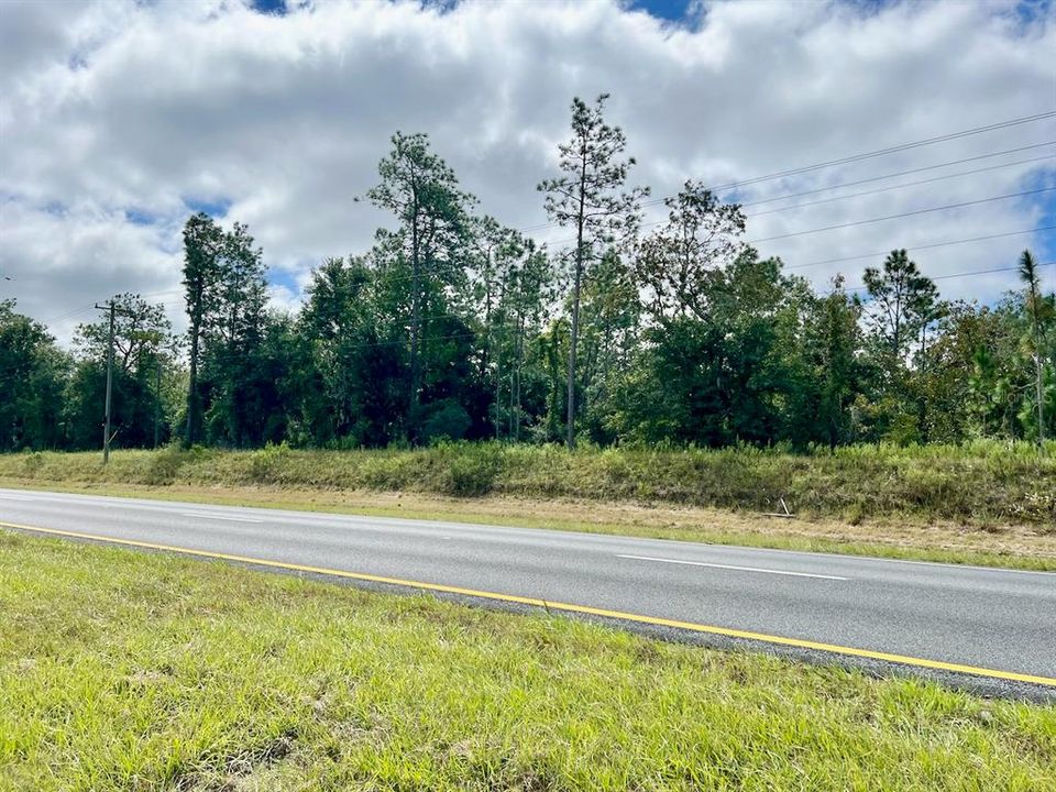 На продажу: $39,000 (1.78 acres)