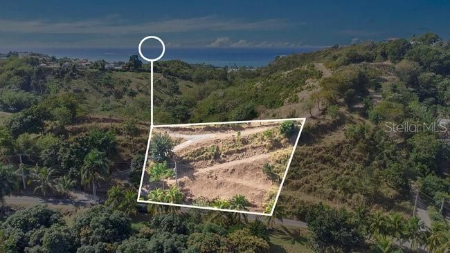 待售: $329,000 (0.30 acres)