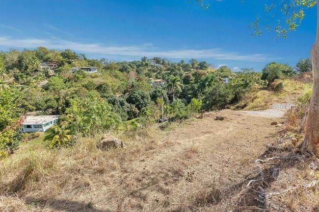 待售: $329,000 (0.30 acres)