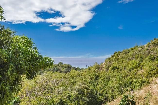 待售: $329,000 (0.30 acres)