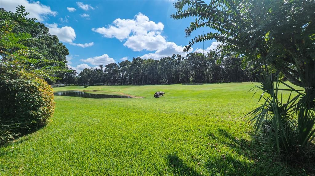 Active With Contract: $209,000 (2 beds, 2 baths, 1142 Square Feet)