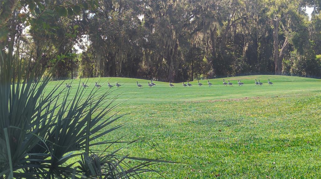 Active With Contract: $209,000 (2 beds, 2 baths, 1142 Square Feet)