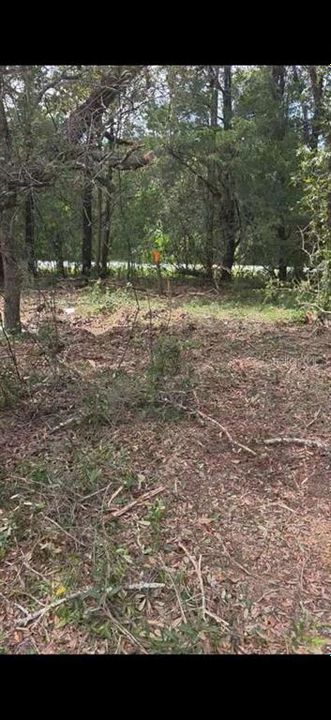 待售: $199,000 (5.00 acres)