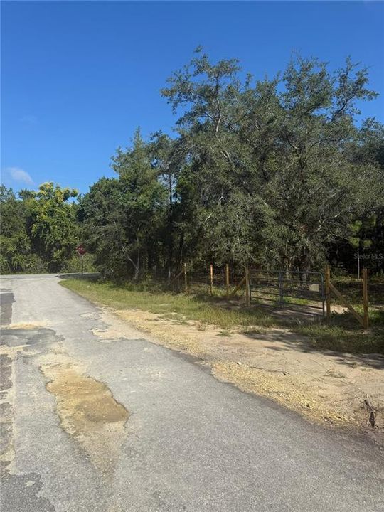 待售: $199,000 (5.00 acres)