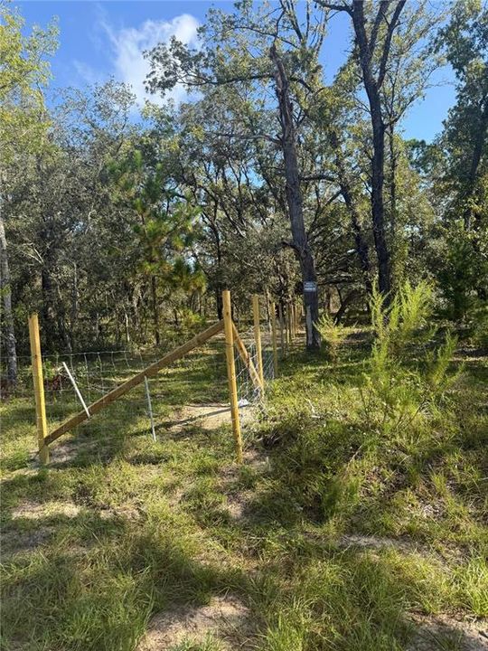 待售: $199,000 (5.00 acres)