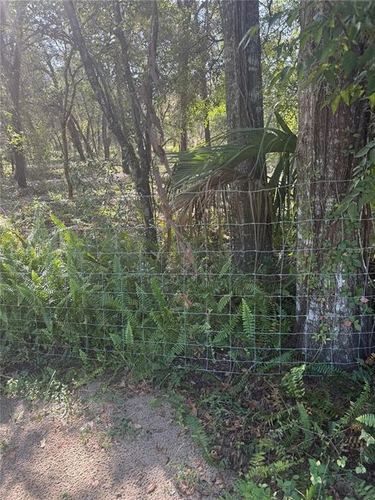 待售: $199,000 (5.00 acres)