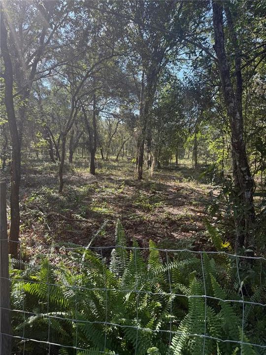 待售: $199,000 (5.00 acres)