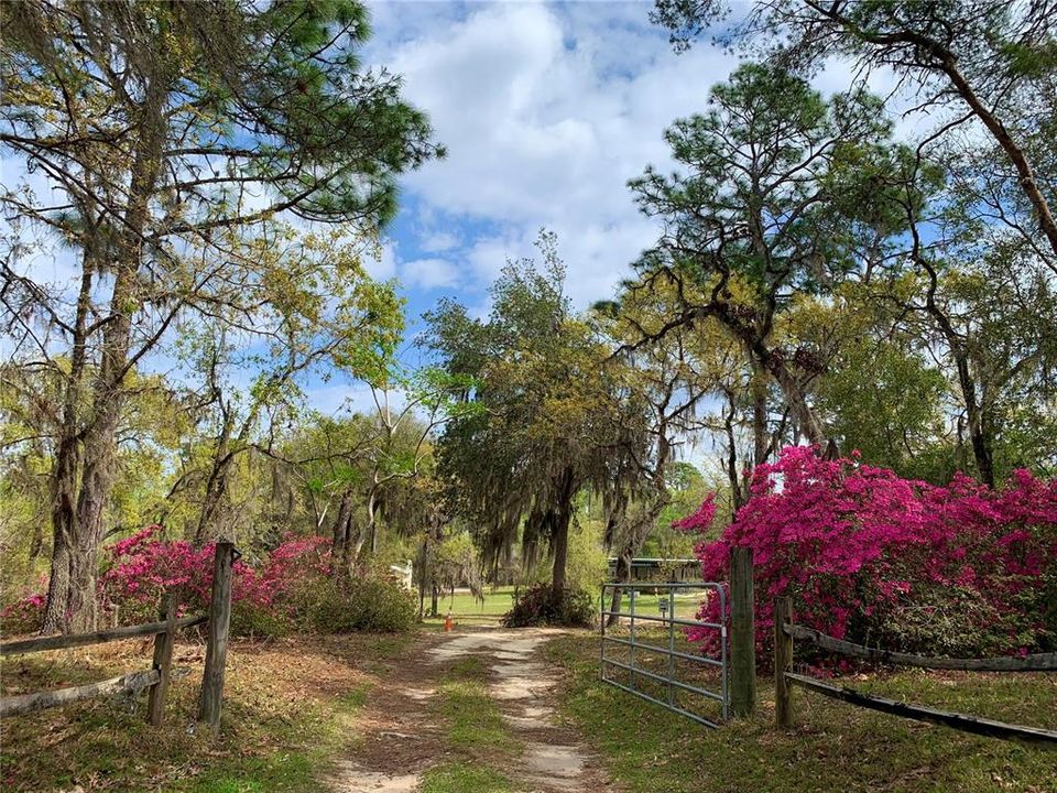 На продажу: $370,000 (3 спален, 2 ванн, 1792 Квадратных фут)