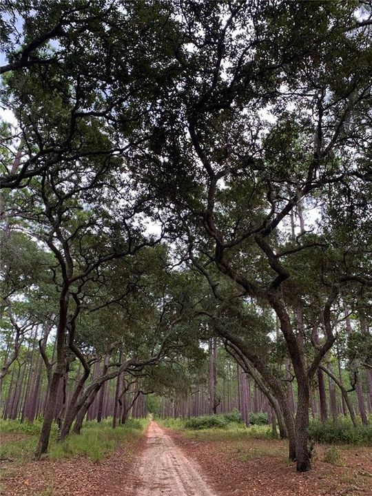 На продажу: $370,000 (3 спален, 2 ванн, 1792 Квадратных фут)