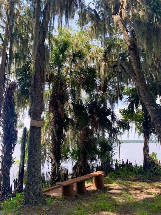 На продажу: $370,000 (3 спален, 2 ванн, 1792 Квадратных фут)