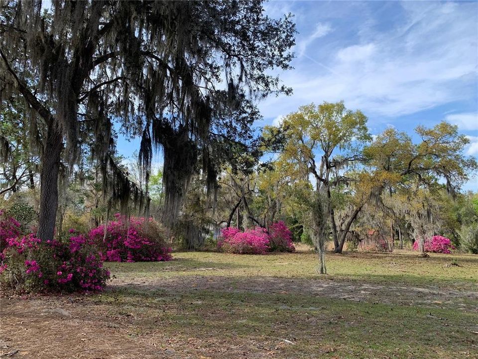 На продажу: $370,000 (3 спален, 2 ванн, 1792 Квадратных фут)