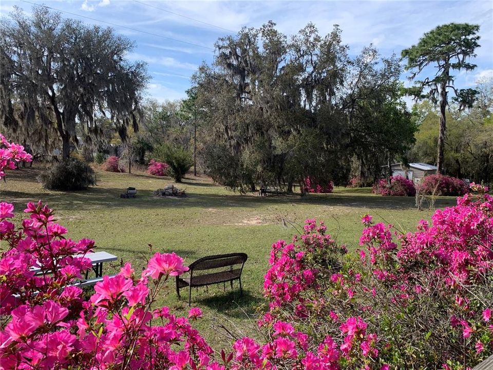 На продажу: $370,000 (3 спален, 2 ванн, 1792 Квадратных фут)