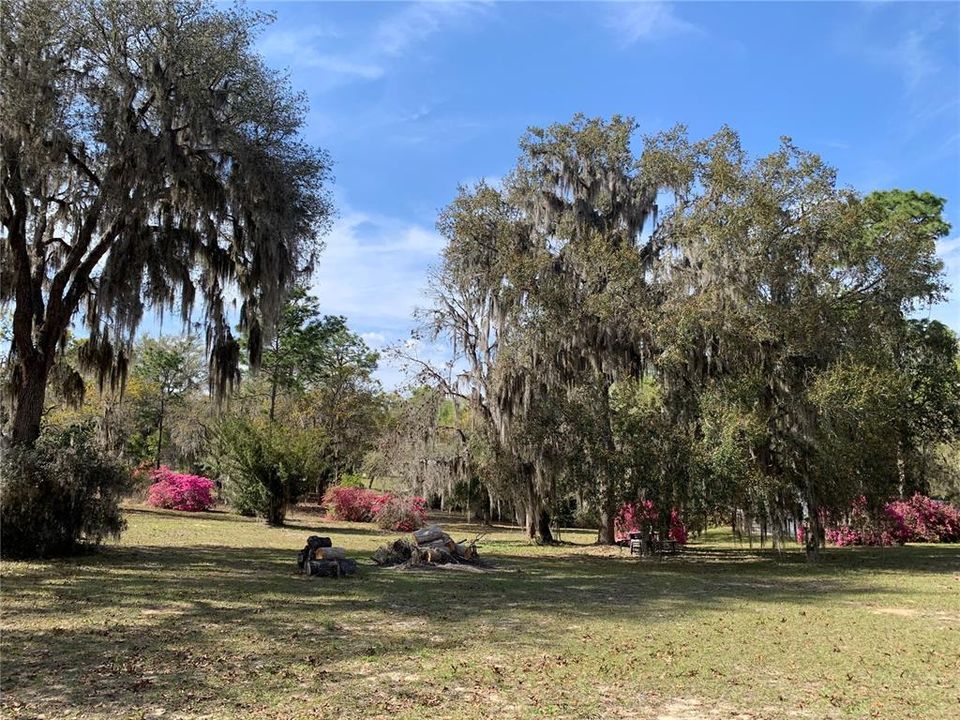 На продажу: $370,000 (3 спален, 2 ванн, 1792 Квадратных фут)