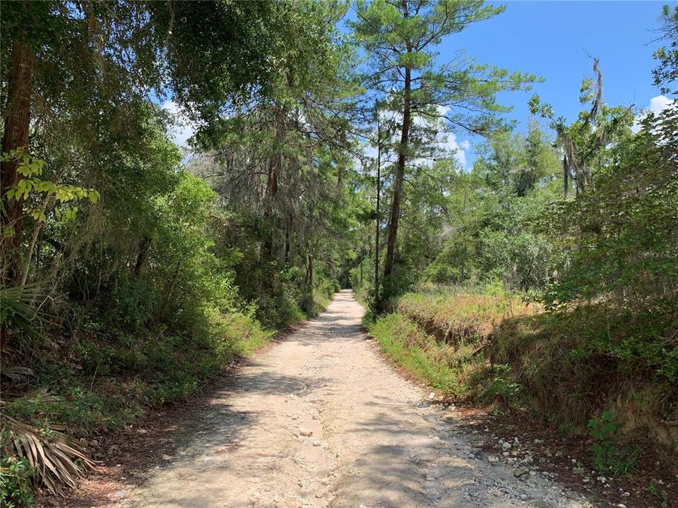 На продажу: $370,000 (3 спален, 2 ванн, 1792 Квадратных фут)