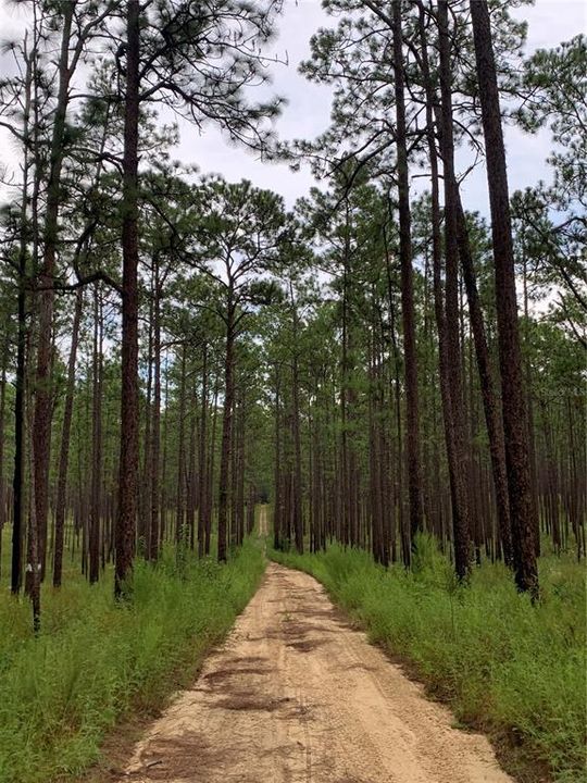 На продажу: $370,000 (3 спален, 2 ванн, 1792 Квадратных фут)