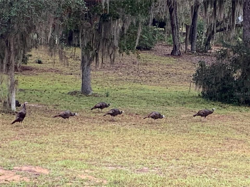 На продажу: $370,000 (3 спален, 2 ванн, 1792 Квадратных фут)