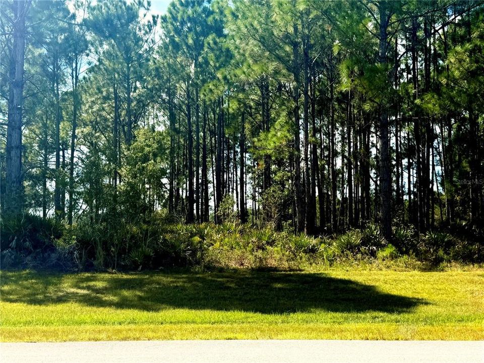 На продажу: $90,000 (0.92 acres)