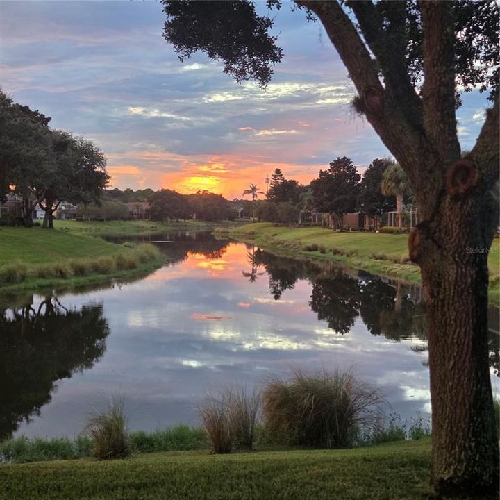 合同活跃: $599,999 (3 贝兹, 2 浴室, 2629 平方英尺)