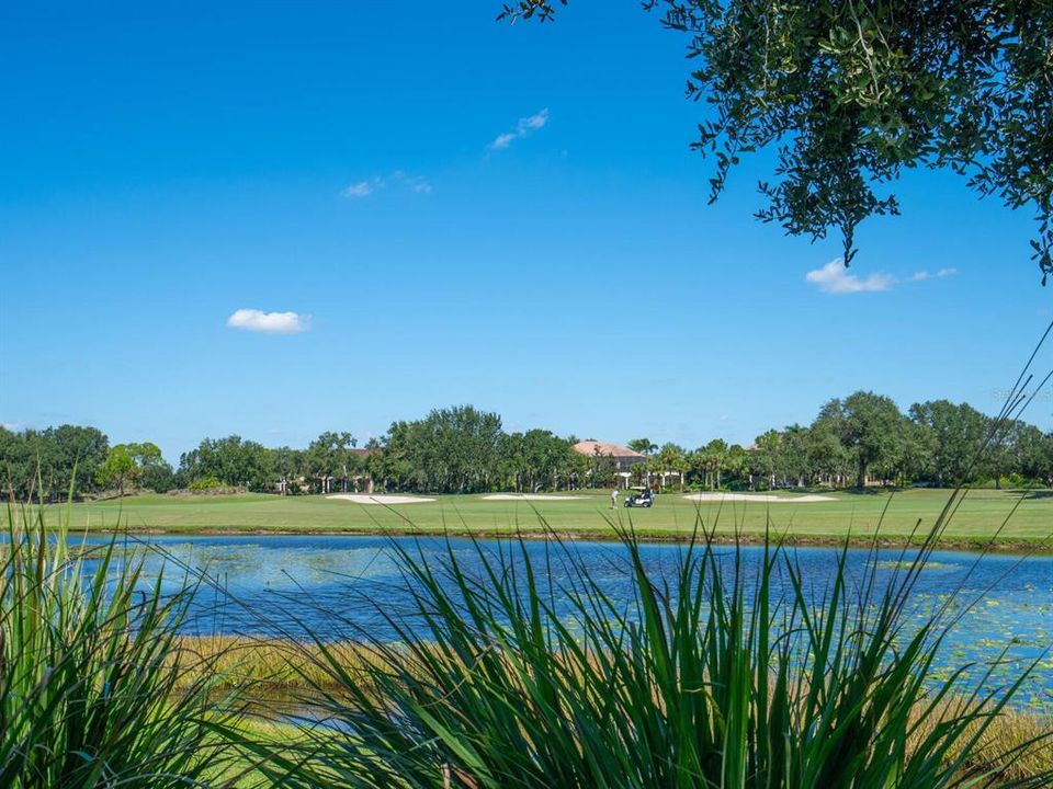 For Sale: $3,700,000 (5 beds, 5 baths, 6798 Square Feet)