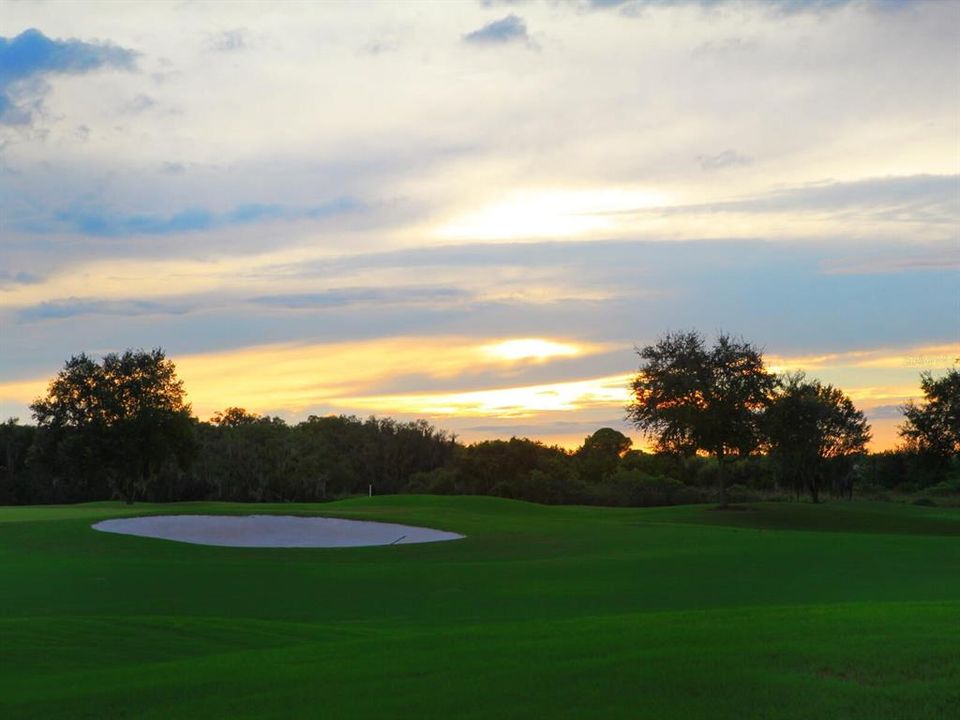 For Sale: $3,700,000 (5 beds, 5 baths, 6798 Square Feet)